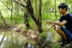 大学生校内钓龙虾做菜：1小时能钓1桶[多图]