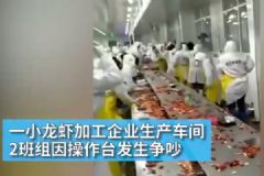 小龙虾加工企业生产车间发生内讧，工人互扔小龙虾[多图]