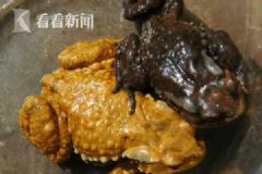 夫妻两人抓蟾蜍食用，妻子因吃蟾蜍卵中毒身亡[多图]