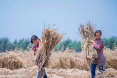 双胞胎姐妹干农活，一家6口3人重病1人去世[多图]