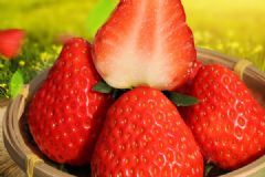 大草莓好吃还是小草莓好吃？如何挑选好吃又好看的草莓？[多图]