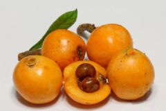 枇杷如何保存好？枇杷的作用功效有哪些？[多图]