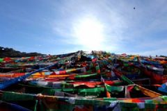 女子高原嗨歌倒地，唱歌激动致脑部缺氧突发脑水肿[多图]