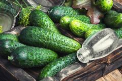 开春多吃五大排毒菜，一整年少生病！[多图]