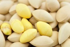 孕妇能不能吃白果？吃白果的禁忌有哪些？[多图]