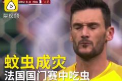 本届世界杯“蚊虫成灾”！法国门将比赛中"误食"蜻蜓被直播[多图]