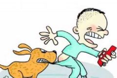 女童遭恶犬围攻，邻居出手相救两人被咬到血肉模糊[多图]