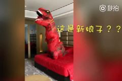 接新娘接到恐龙，新郎惊呆了，缓过神后连说“我喜欢”[多图]