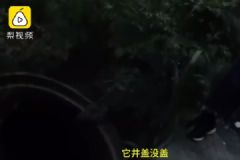 6岁小哥哥为妹妹采花坠井，救援中淡定描述自己状况[多图]