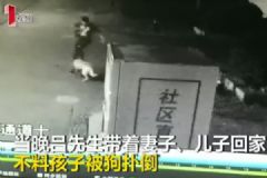 3岁男孩小区内被狗咬头缝10针，被狗咬伤后怎么处理？[多图]