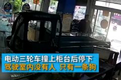 电动三轮车突然冲进手机店，“肇事者”却是条狗[多图]