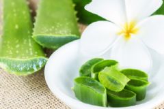 芦荟有哪些特点？使用芦荟的注意事项[图]