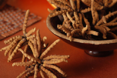 “高级”中药补品有什么禁忌？什么中药吃了能抗衰老？[多图]