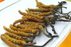 天价虫草不抗癌？冬虫夏草到底能不能抗癌？[多图]