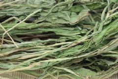 蒲公英根和叶功效一样吗？蒲公英茶怎么制作方法？[图]