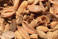 哪些中药不宜长期服用？喝什么中药能起到减肥的效果？[图]