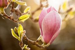 开春三月！养生防病有三招！[图]